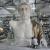 OAK © Oak Taylor-Smith  Factum Foundation - Factum Foundation all’opera nella ricostruzione del Colosso di Costantino, 2022