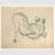 Toro morente, Antonietta Raphaël, 1937 ca., inchiostro, cm 21,5x28 (collezione privata)