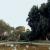 Parco di Villa Torlonia